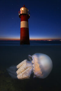 Highly Commended categorie Portfolio - Luc Rooman