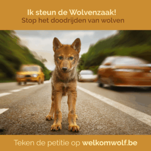 Gift Wolvenzaak